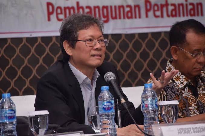 Anthony Budiawan. Foto: Net